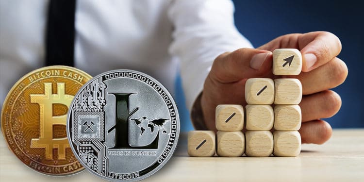bch criptomonedas negocios
