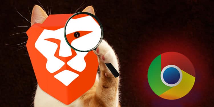 Logo de Brave sobre un felino con lupa viendo el logo de Chrome. Composición por CriptoNoticias  Brave / brave.com ;   DarkWorkX  /  pixabay.com ;  Lucas Wendt / pixabay.com ;