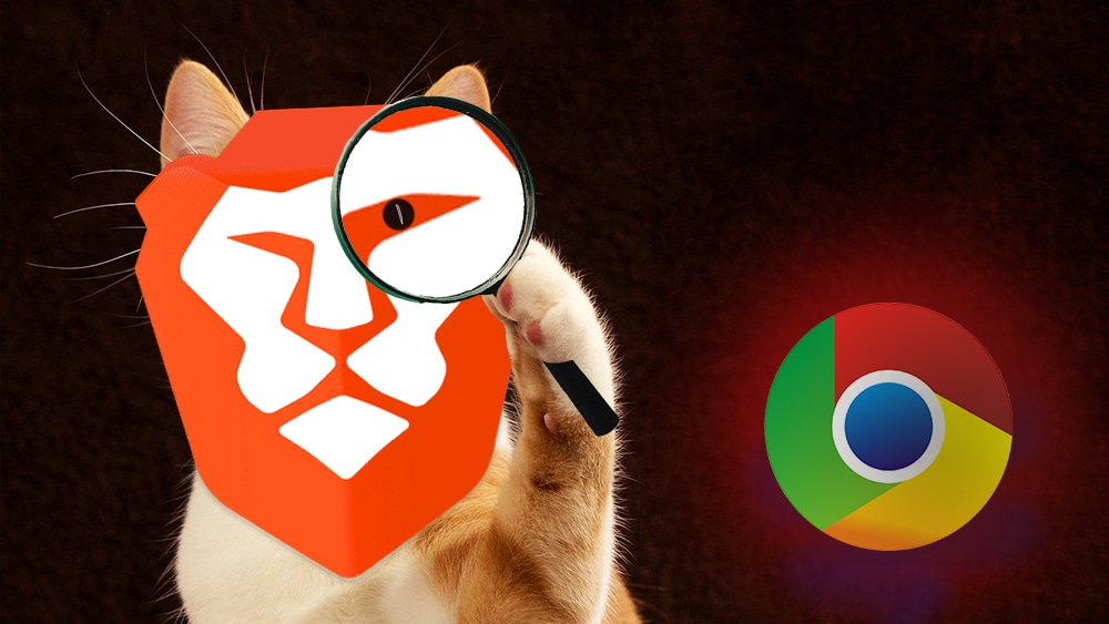 Logo de Brave sobre un felino con lupa viendo el logo de Chrome. Composición por CriptoNoticias  Brave / brave.com ;   DarkWorkX  /  pixabay.com ;  Lucas Wendt / pixabay.com ;