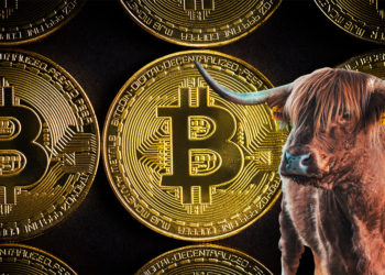 bitcoin-corrida-alcista-Willy-Woo