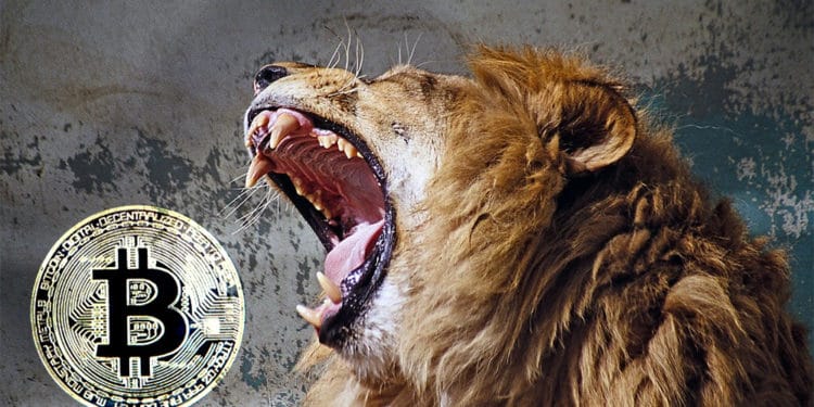 investigación-mercado-casas-cambio-criptomonedas-bitcoin