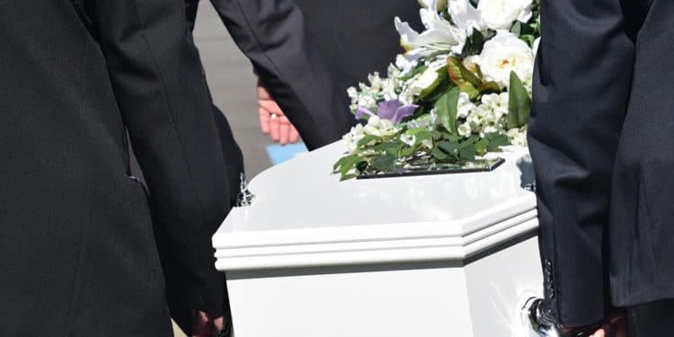 muere primer proyecto 36 horas