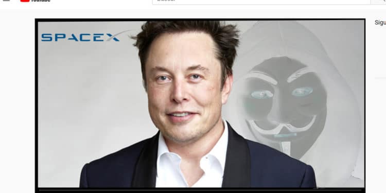Musk cuenta robada btc