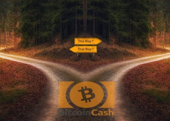 usuarios disputa nombre BCH