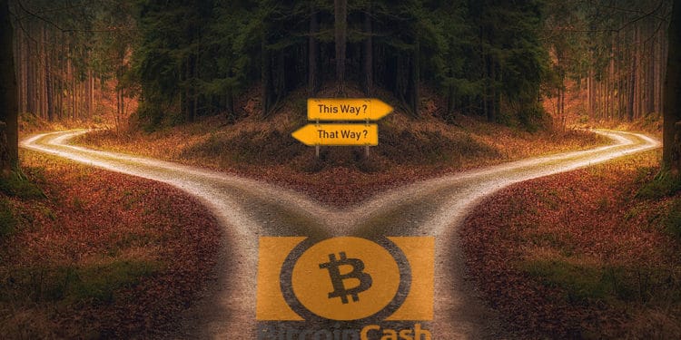 usuarios disputa nombre BCH