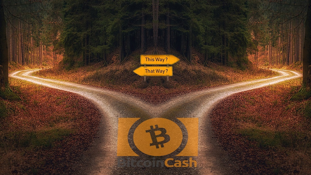 usuarios disputa nombre BCH