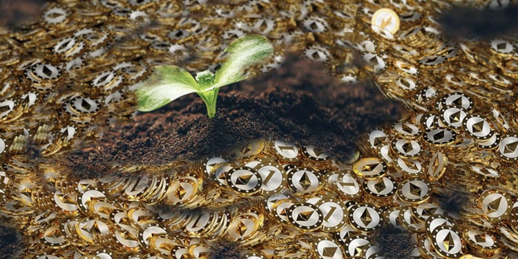 Cultivo de Yield Farming atacado por comisiones de criptomonedas de Ethereum. Composición por CriptoNoticias  twenty20photos /  elements.envato.com ;  jchizhe /  elements.envato.com