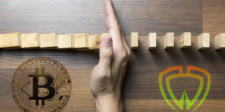 btc cartera seguridad criptomoneda