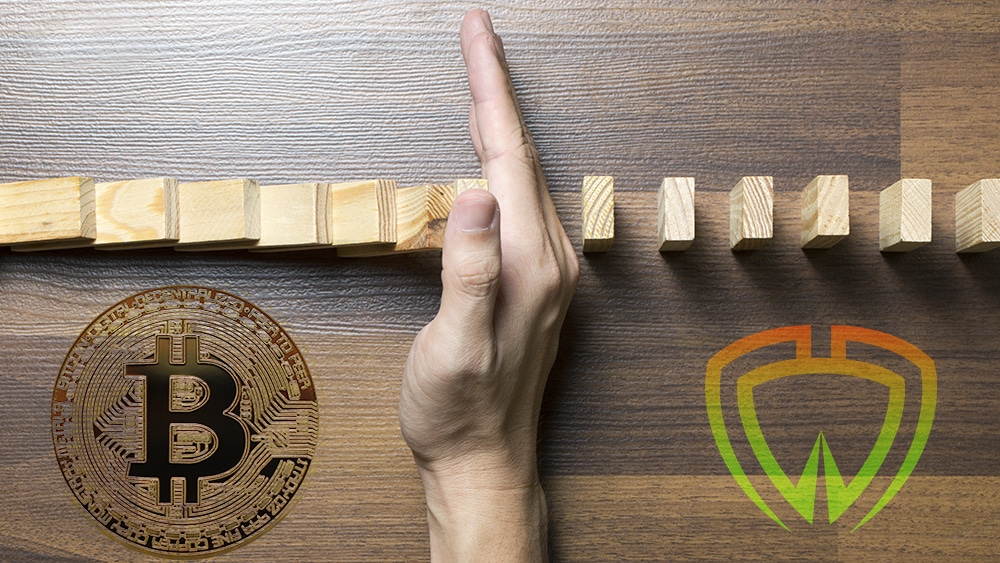 btc cartera seguridad criptomoneda