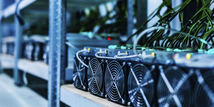 recompensa completa hashrate mineria