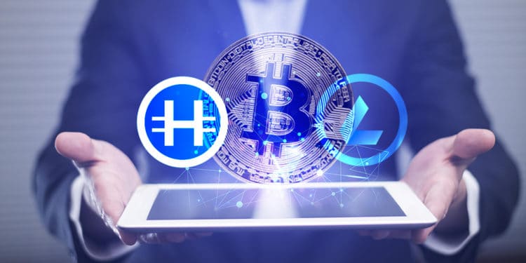 prestamistas empresa btc colaterales