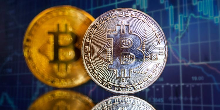 Monedas de Bitcoin frente a gráfico de velas en el fondo. Fuente: erika8213 / elements.envato.com