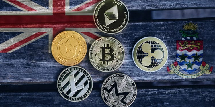 btc marco regulatorio empresas