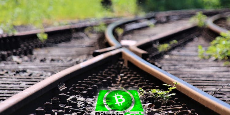 BCH hard fork criptomoneda