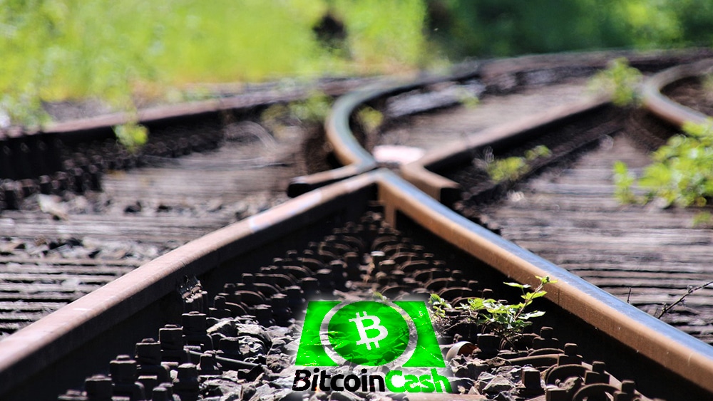 BCH hard fork criptomoneda