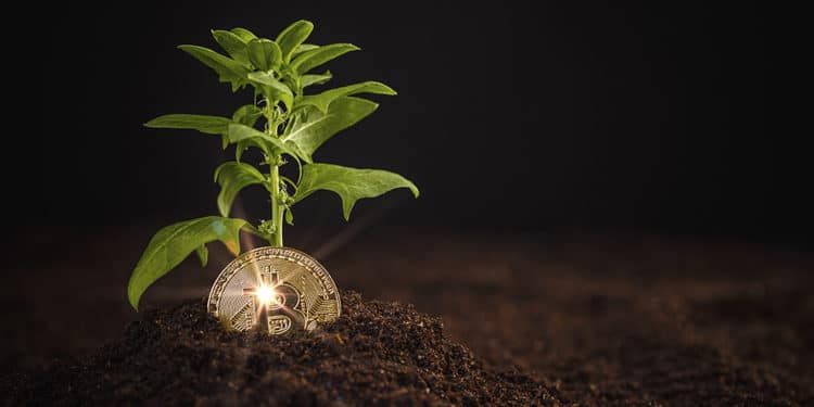 BTC holder movimientos transacciones