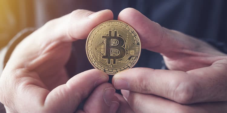 btc crea cartera usuarios