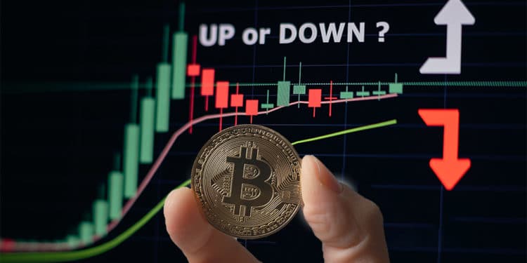 Mano sosteniendo moneda de Bitcoin frente a gráfico de mercado. Composición por CriptoNoticias. leungchopan / elements.envato.com; avanti_photo / elements.envato.com