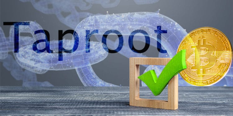 Cajeta de verificación frente a blockchain con moneda de Bitcoin y palabra Taproot en el fondo. Composición por CriptoNoticias. iLexx / elements.envato.com; gargantiopa / elements.envato.com; twenty20photos / elements.envato.com.
