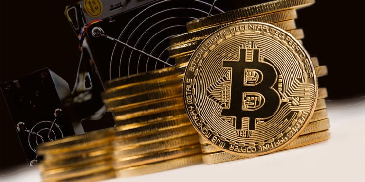 Monedas de Bitcoin con minero de fondo. Composición por CriptoNoticias. feybk / Piqsels.com; macondoso / elements.envato.com