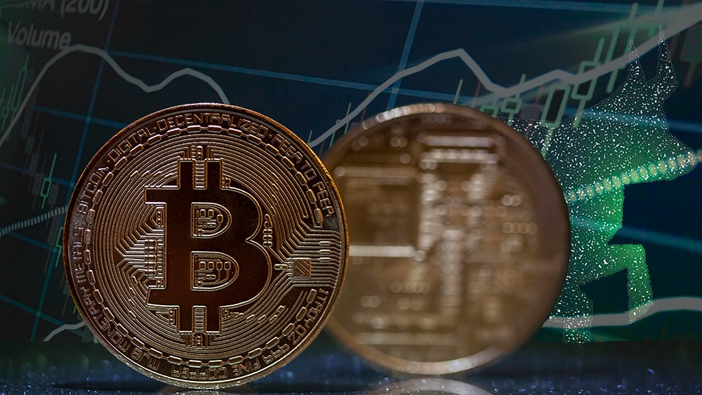 Moneda de Bitcoin con gráfico alcista y toro de fondo. Composición por CriptoNoticias. twenty20photos / elements.envato.com; @starline / Freepik.com; erika8213 / elements.envato.com