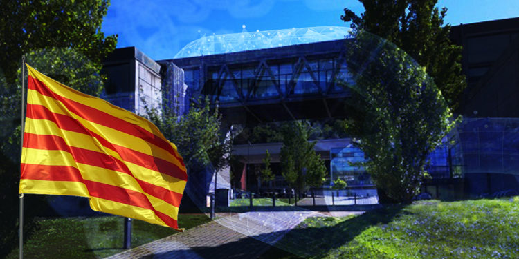 criptomonedas estudios cadena bloques