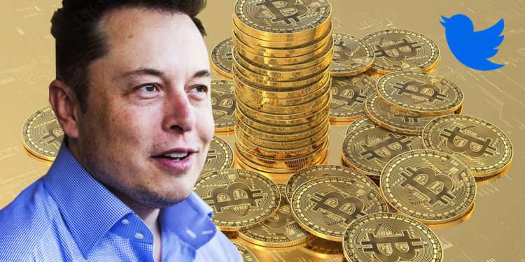 twitter inversion BTC invertir