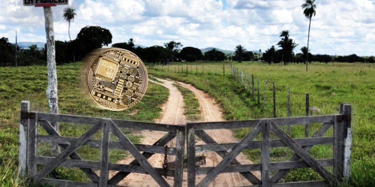 comercio ganado tecnologia blockchain
