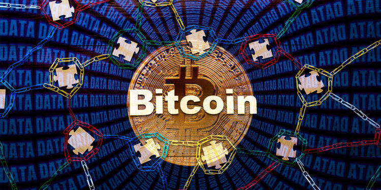 Blockchain de Bitcoin con moneda y base de datos en el fondo. Composición por CriptoNoticias. garloon / elements.envato.com; geralt  / pixabay.com; ESchweitzer / elements.envato.com.