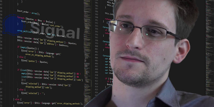 Edward Snowden frente a pantalla con código y logo de Signal superpuesto. Composición por CriptoNoticias. Edward Snowden / edwardsnowden.com; Signal Messenger / wikipedia.org; Boskampi  / pixabay.com