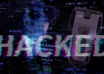 hackeo ransomware juguetes adultos recompensa bitcoin