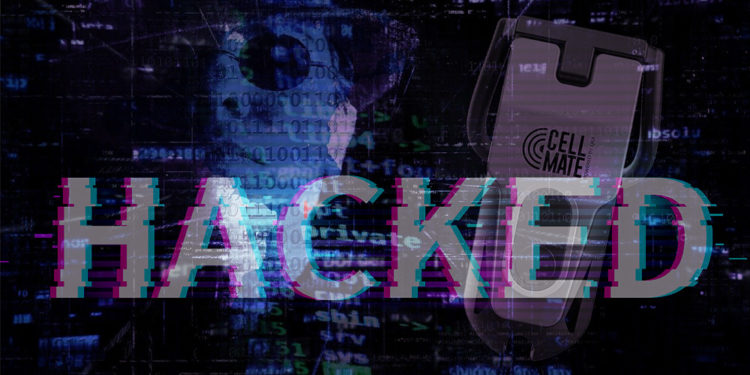 hackeo ransomware juguetes adultos recompensa bitcoin