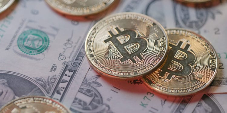 paridad dolar bitcoin mercado criptomonedas 10 años