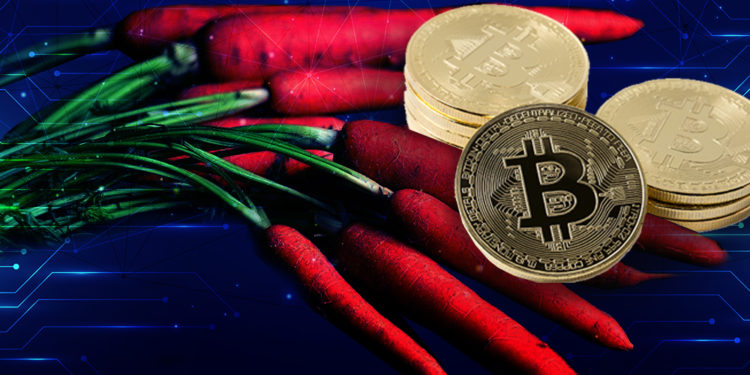 BTC pool codigo criptomoneda