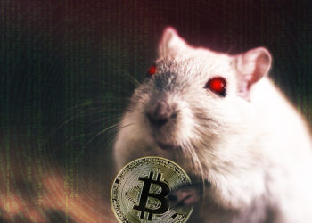 Ratón con ojos rojos con bitcoin en garras y fondo con códigos binarios sobrepuestos. Composición por CriptoNoticias Free-Photos /  pixabay.com ; Gerd Altmann /  pixabay.com ; bitcointere  / pxhere.com.