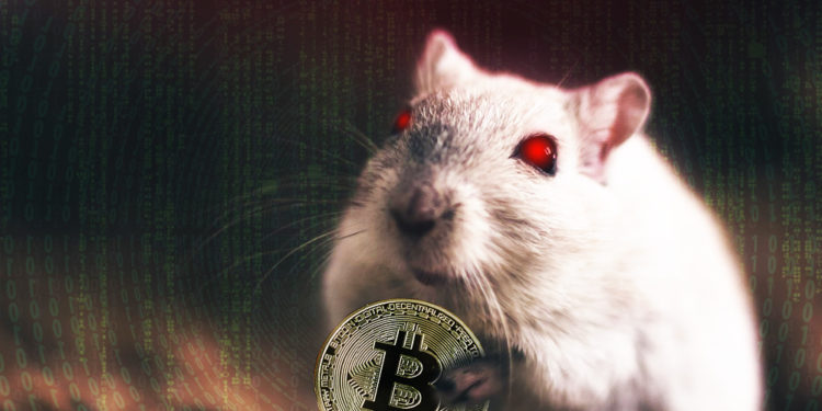 Ratón con ojos rojos con bitcoin en garras y fondo con códigos binarios sobrepuestos. Composición por CriptoNoticias Free-Photos /  pixabay.com ; Gerd Altmann /  pixabay.com ; bitcointere  / pxhere.com.