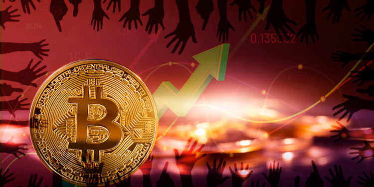 Sombra de manos sobre moneda de Bitcoin con gráfico alcista en el fondo. Composición por CriptoNoticias. geralt / pixabay.com; tartila / freepik.com; ESchweitzer / elements.envato.com.