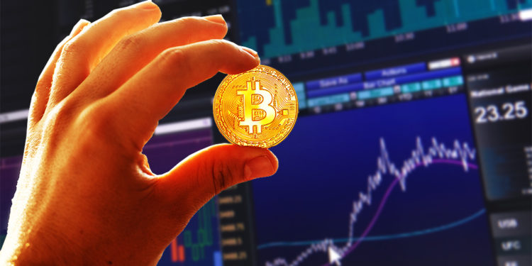 hodlers bitcoin retiro casas cambio liquidez mercado criptomonedas
