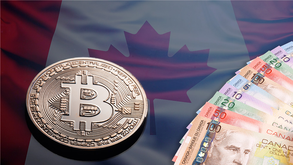 Moneda de Bitcoin junto a billetes de dólares canadienses con bandera de Canadá en el fondo. Composición por CriptoNoticias. johan10 / elements.envato.com; slon.pics / freepik.com; Alexlukin / elements.envato.com.