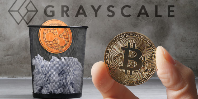 Hombre sostiene moneda de Bitcoin frente a moneda de Ripple cayendo en basura con logo de Grayscale en el fondo. Composición por CriptoNoticias. Grayscale / grayscale.co; jirkaejc / elements.envato.com; Racool_studio / freepik.com; leungchopan / elements.envato.com.