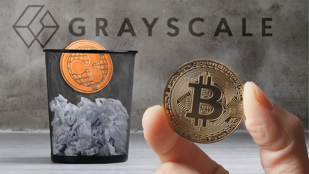 Hombre sostiene moneda de Bitcoin frente a moneda de Ripple cayendo en basura con logo de Grayscale en el fondo. Composición por CriptoNoticias. Grayscale / grayscale.co; jirkaejc / elements.envato.com; Racool_studio / freepik.com; leungchopan / elements.envato.com.
