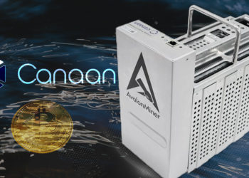 Minero de Bitcoin con enfriamiento por inmersión líquida de Avalon Miner. Composición por CriptoNoticias. Canaan / canaan.io; ESchweitzer / elements.envato.com; Canaan / canaan.io; Mint_Images / elements.envato.com.