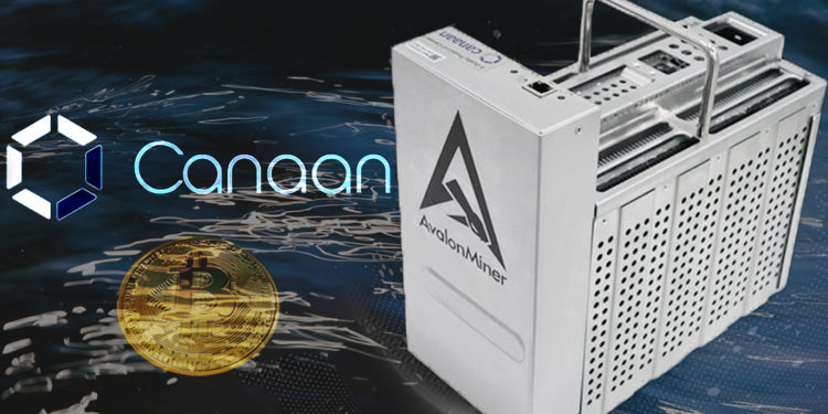Minero de Bitcoin con enfriamiento por inmersión líquida de Avalon Miner. Composición por CriptoNoticias. Canaan / canaan.io; ESchweitzer / elements.envato.com; Canaan / canaan.io; Mint_Images / elements.envato.com.