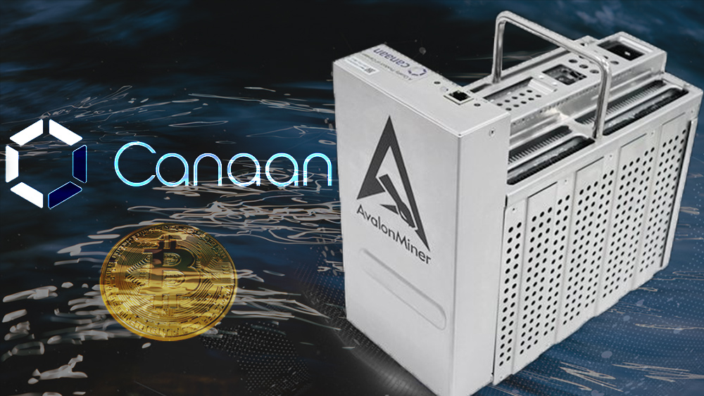 Minero de Bitcoin con enfriamiento por inmersión líquida de Avalon Miner. Composición por CriptoNoticias. Canaan / canaan.io; ESchweitzer / elements.envato.com; Canaan / canaan.io; Mint_Images / elements.envato.com.