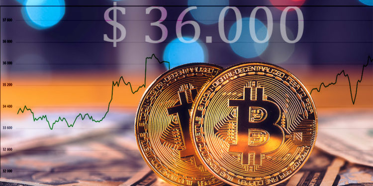 Monedas de Bitcoin con gráfico alcista en el fondo. Composición por CriptoNoticias. stevanovicigor / elements.envato.com; coinmarketcap / coinmarketcap.com.