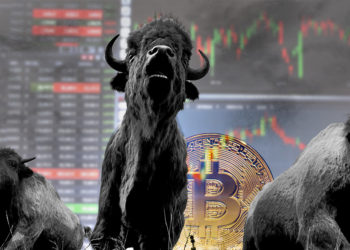 Estampida de toros con interfaz de exchange y moneda de bitcoin en el fondo. Composición por CriptoNoticias. ESchweitzer / elements.envato.com; sbqhw / piqsels.com; twenty20photos / elements.envato.com