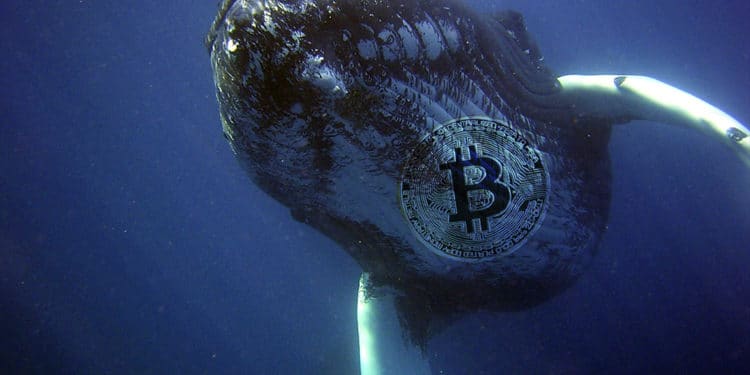 BTC valor criptomoneda mercados