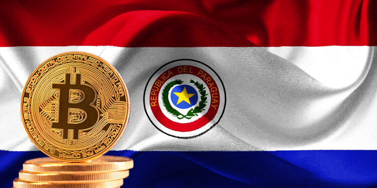 mercado gobierno transaciones BTC