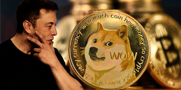 Elon Musk junto a moneda de Dogecoin en frente de monedas de Bitcoin. Composición por CriptoNoticias. jirkaejc / elements.envato.com; Daniel Oberhaus / flickr.com; stevanovicigor / elements.envato.com.