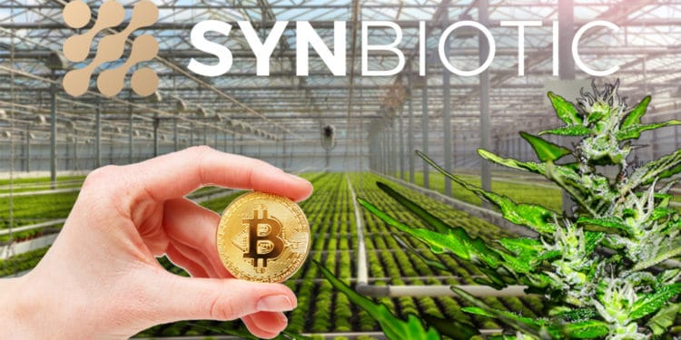 inversión bitcoin compañía marihuana alemania